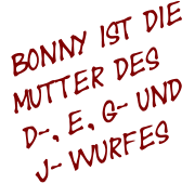 Bonny ist die  Mutter des  D-, E, G- und  J- Wurfes