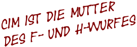 Cim ist die Mutter  des F- und H-Wurfes